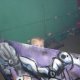 DSC03878.jpg